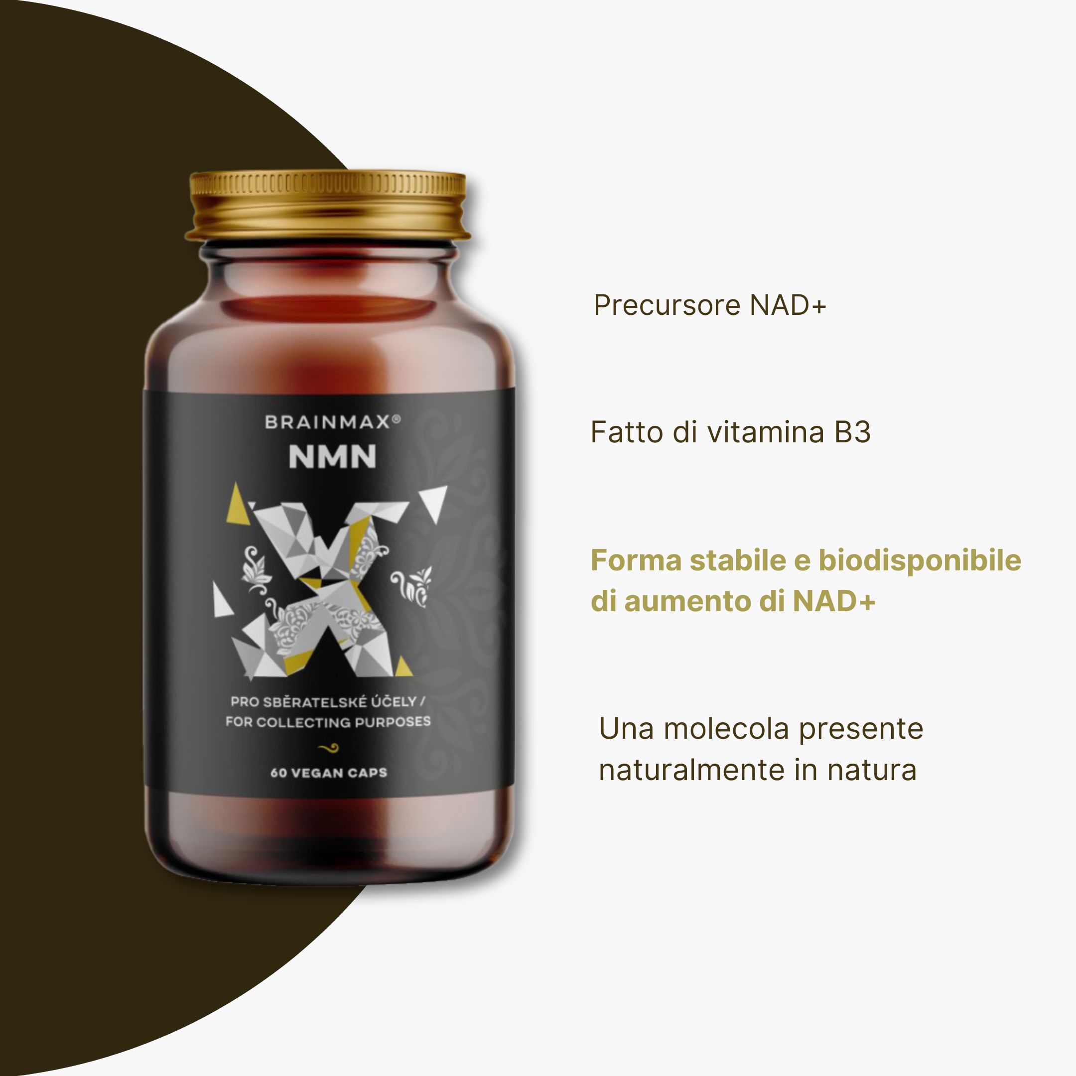 (Italština) (62)
